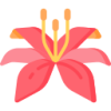 j9九游会 logo