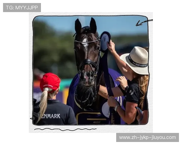 足球运动中肢体语言对战术默契的影响是否被高估